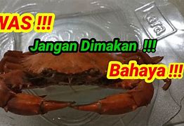 Makan Kepiting Sakit Perut